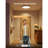  12-Inch RGBWW + RGBIC Smart Ceiling Light