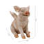 Cochon souriant avec des ailes assis