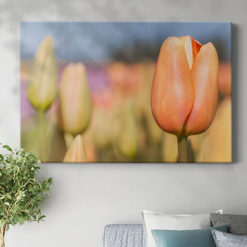 Ouverture sur la toile tendue Sun-Gallery, H 32 po x l 48 po