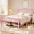 Rose double / double n'est pas disponible