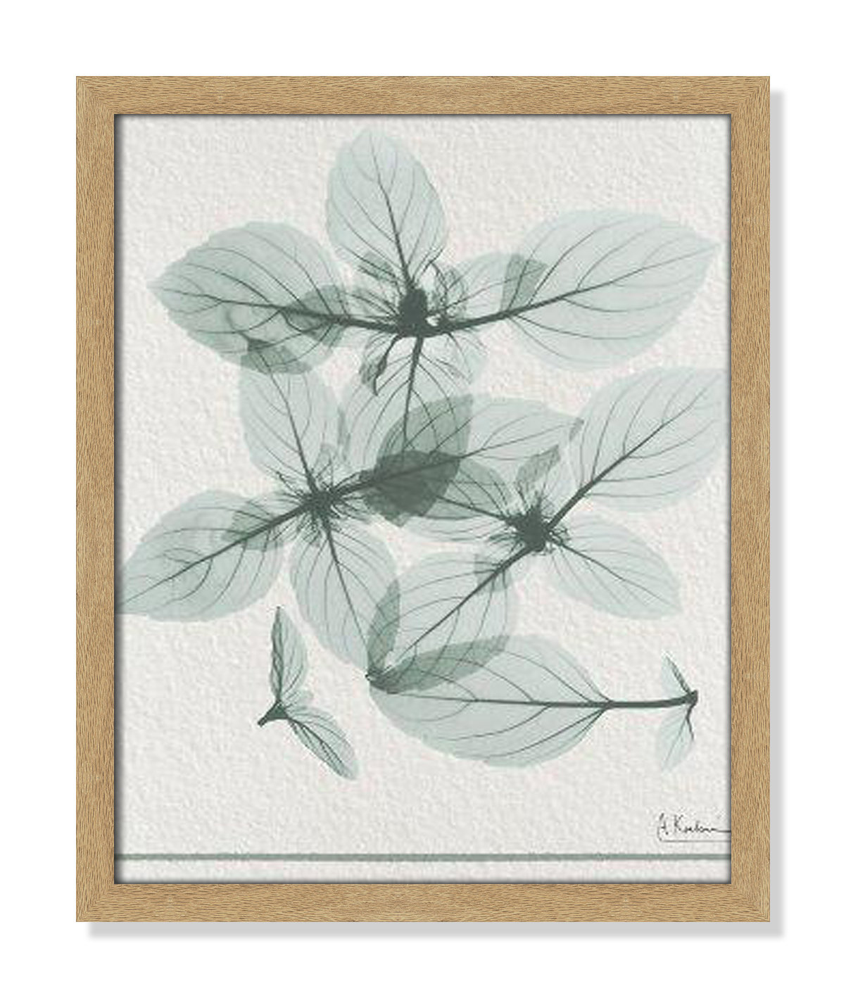Jeanette "Basil Ocimum Basilicum" Painting, 19" H x 16" W x 1.25" D, Natural Framed Paper