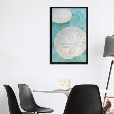Alan Blaustein - Wrapped Canvas Print