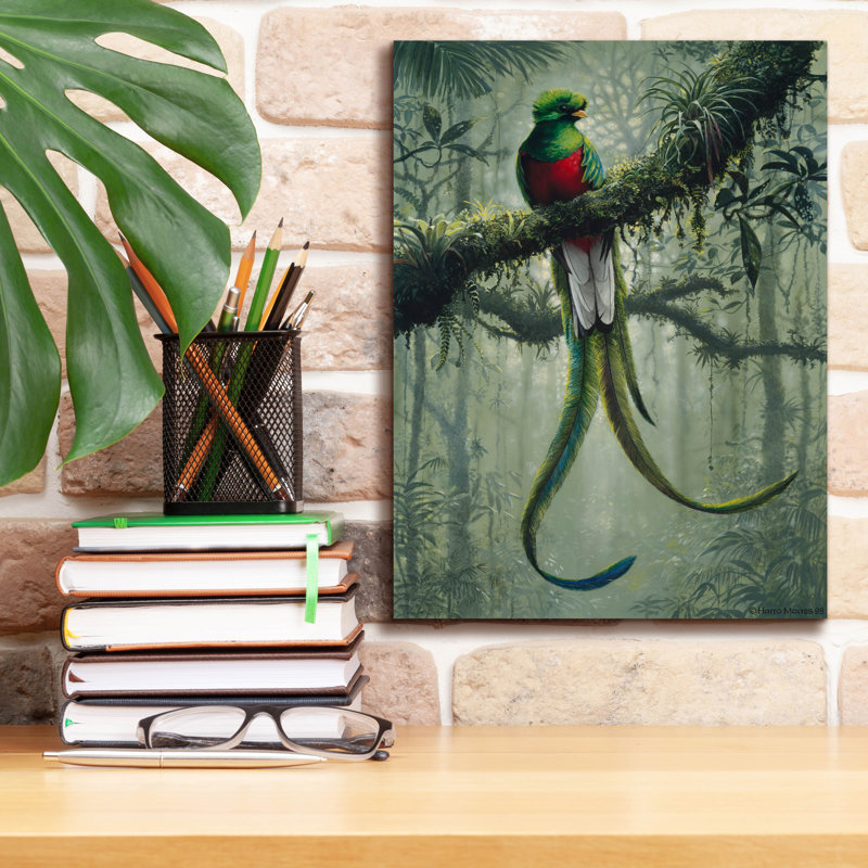 Epic Graffiti «Resplendent Quetzal 2» par Harro Maa, L 12 po x H 16 po x P 0,75 po