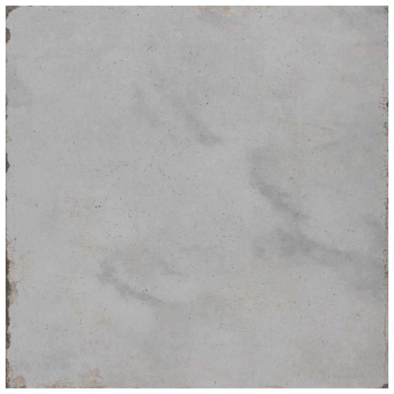 Renaissance 8" x 8" Porcelain Vintage Wall & Floor Tile