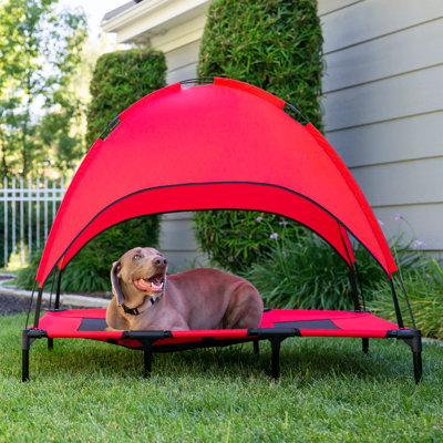 Dameian Pet Bed