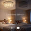 Flush Mount-1148689651