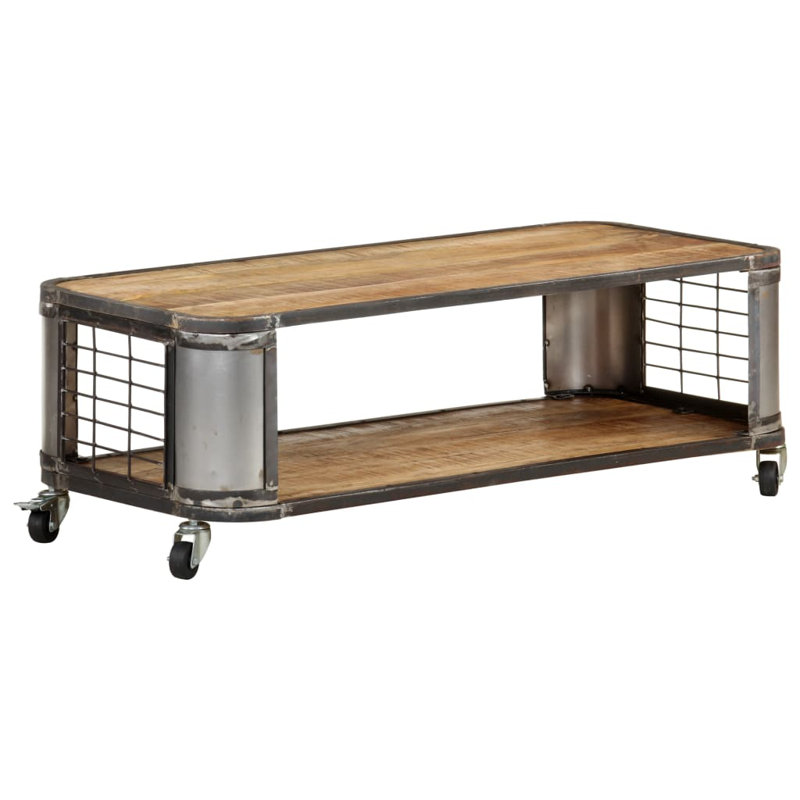 Ceciley Frame Single Coffee Table with Storage