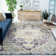 Felty Oriental Black/Gold Area Rug