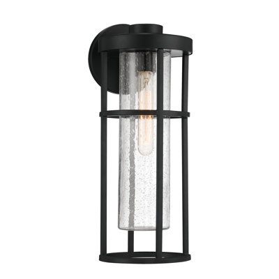 Encompass Steel Wall Light