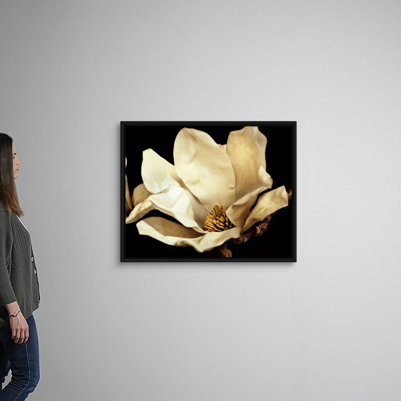 «Buttercream Magnolia I», art mural sur toile, H 40 po x l 32 po x P 1,75 po, Cadre noir