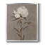 Toile encadrée Premium-42768052-42768056