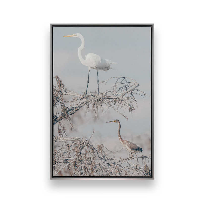 «Everglades pair» par Nathan Larson, reproduction d'art sur toile, Argent argent, Cadre flottant, H 30 po x l 20 po