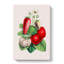 Wild Strawberry Illustration - Wrapped Canvas-55305503