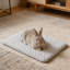 Matelas à glace Summer Cooling Pet, 8,27 x 6,3 po, gris-131214641