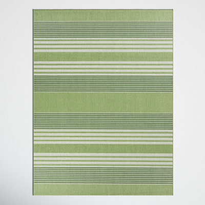Birch Lane™ Danes Striped Light Green/Dark Green/White Indoor / Outdoor ...