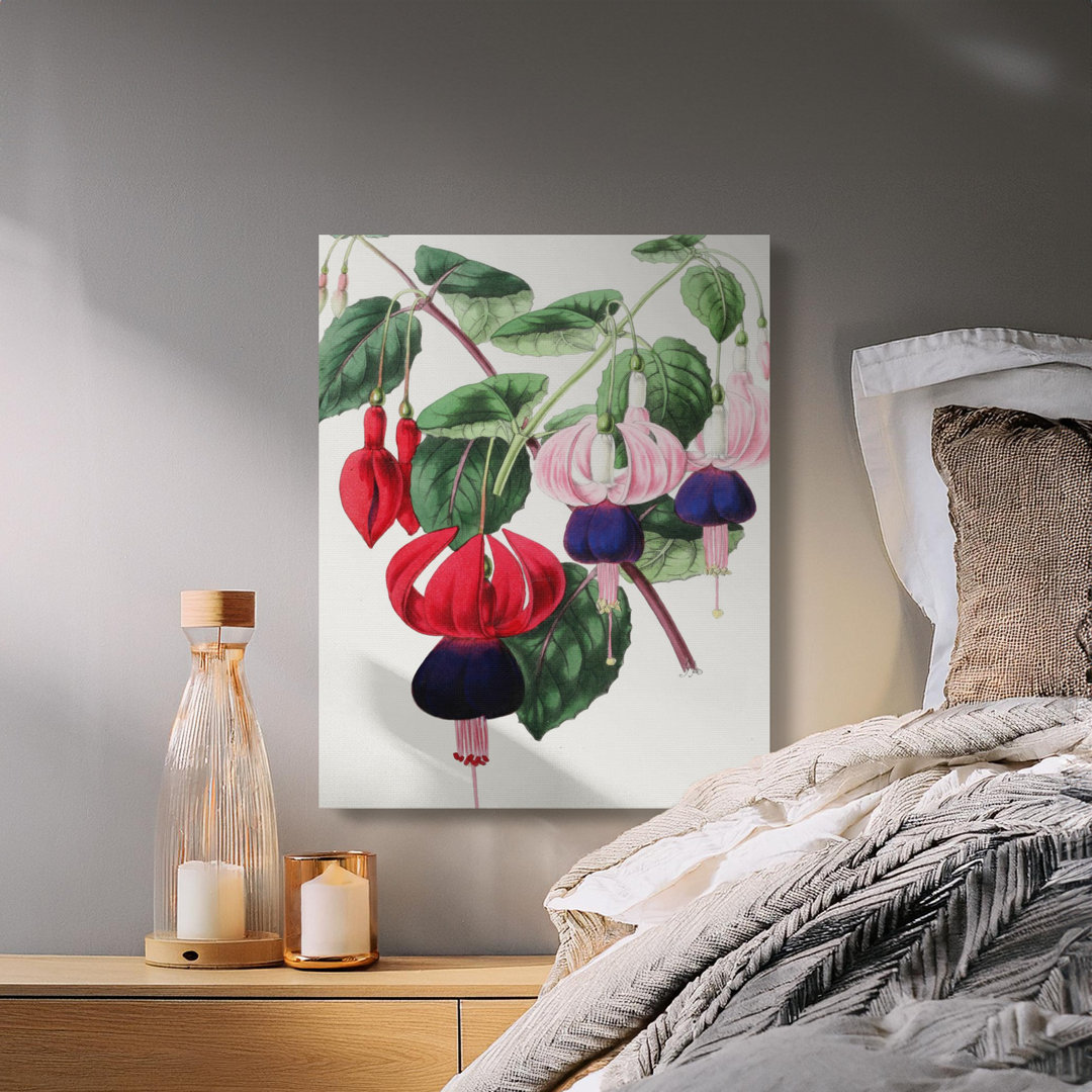 Vibrant Fuchsia Botanical Flower Canvas Print