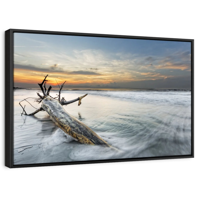 Plage «Hilton Beach Driftwood», H 13 po x l 19 po