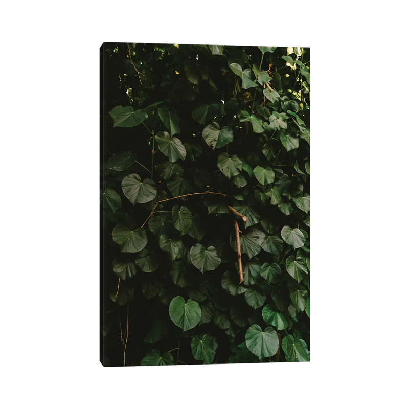 Tropical Hawaii III by Bethany Young - Print on Canvas, 152.4cm H x 101.6cm W x 3.81cm D, Wrapped Canvas