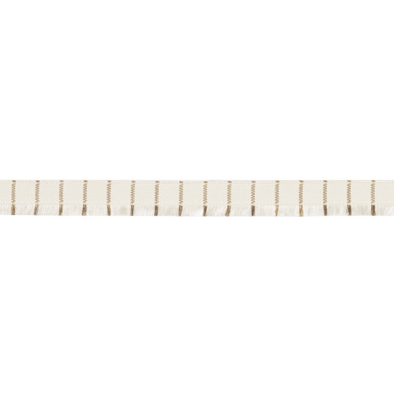 Schumacher x Patterson Flynn Frances Silk Fringe