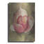 Art mural en métal Latitude Run® «Pink Blossom» par Cheri Blum-785939290