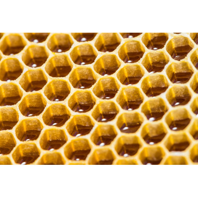 Wartrace Close Up Of Honeycomb - Wrapped Canvas Print