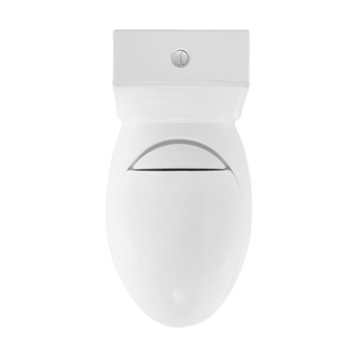 Plaisir® One-Piece Elongated Toilet Dual-Flush 1.1/1.6 gpm
