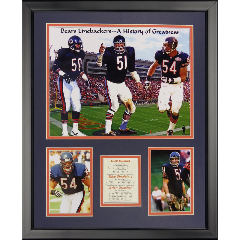 Memorabili de chicago ours-peluches encadrées NFL