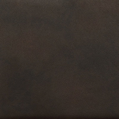 Leather Air Brown Sample