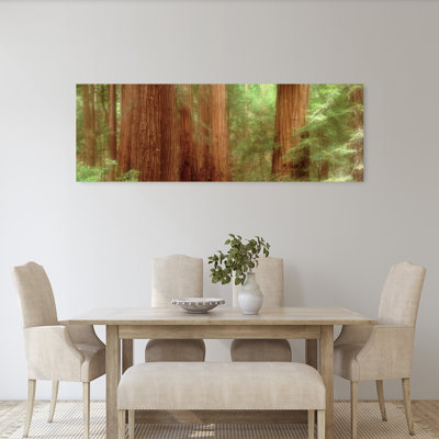 Redwood Trees, Muir Woods, California, Usa, Abstract Contemporary Redwood Tree Landscape Wall Art