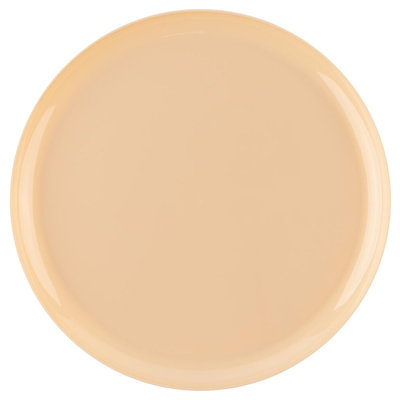 Disposable Dinner Plate