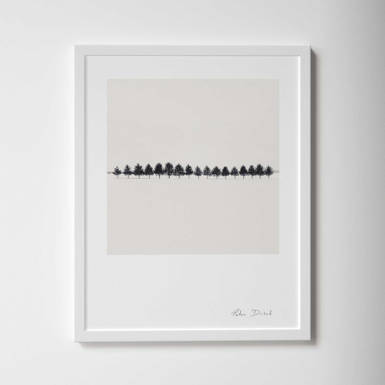 Seventeen Trees by Peter Dušek, White, 30" H x 24" W x 1.25" D