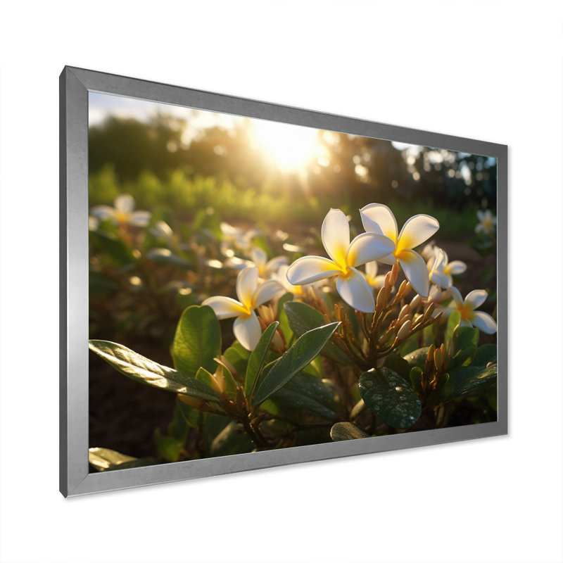 Jaune jaune blanc exotique Plumeria Blooms III sur toile, H 30 po x l 40 po x P 1,5 po, Cadre photo argenté