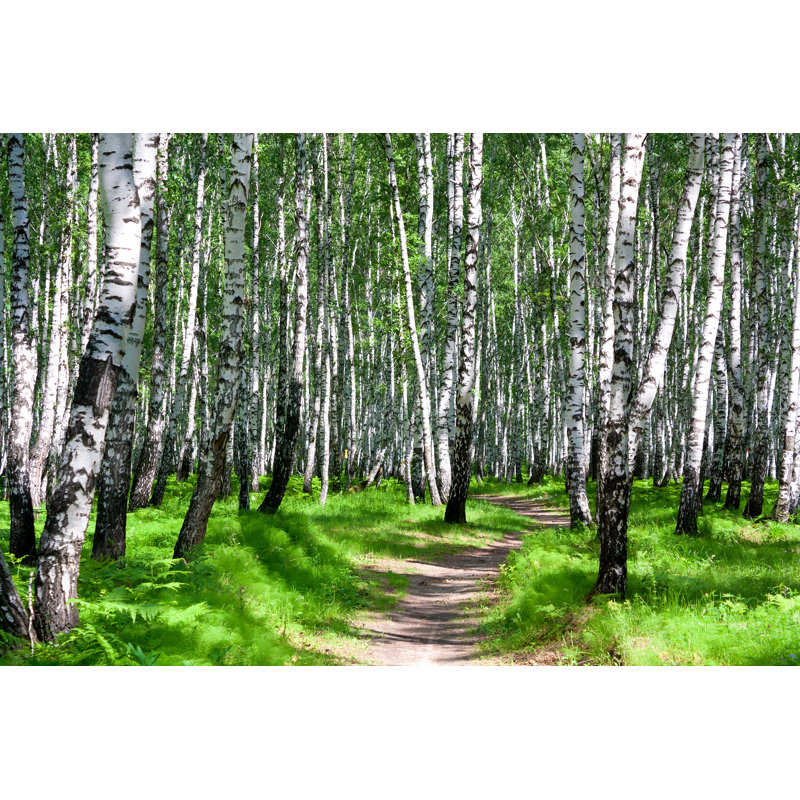 Summer Landscape With The Forest And Sun by Yanikap - Wrapped Canvas Print, 61cm H x 91cm W x 3.8cm D