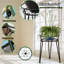 Bult Plant Stand - Set of 3