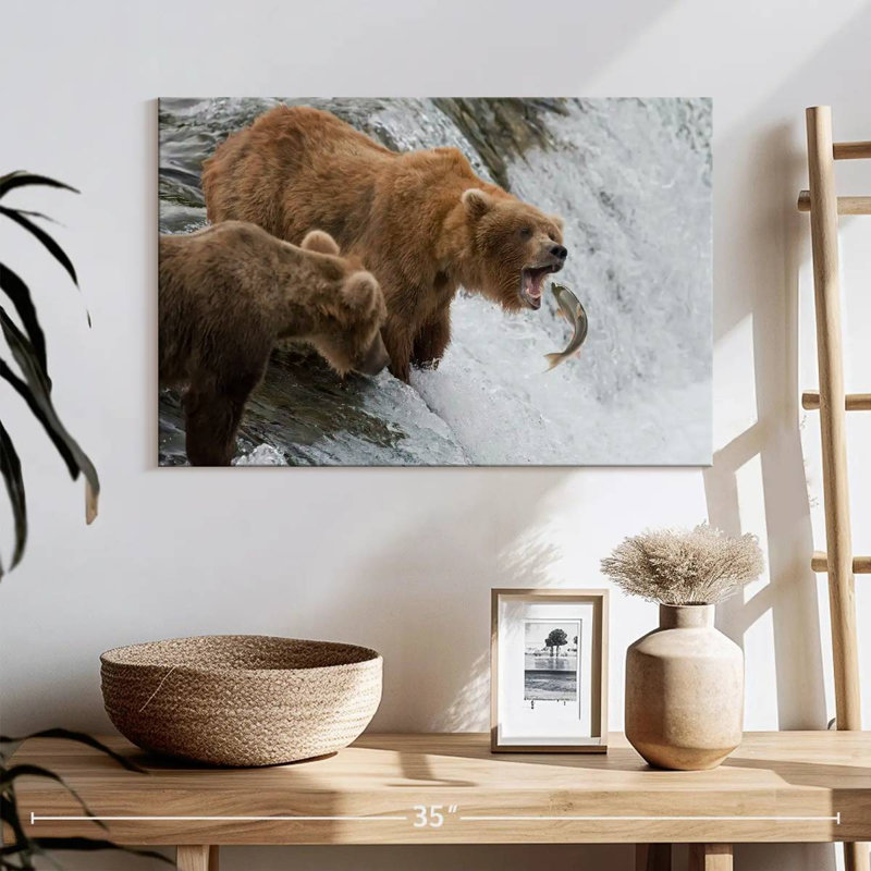 Ours bruns grizzlis chassant des poissons, H 16 po x l 24 po