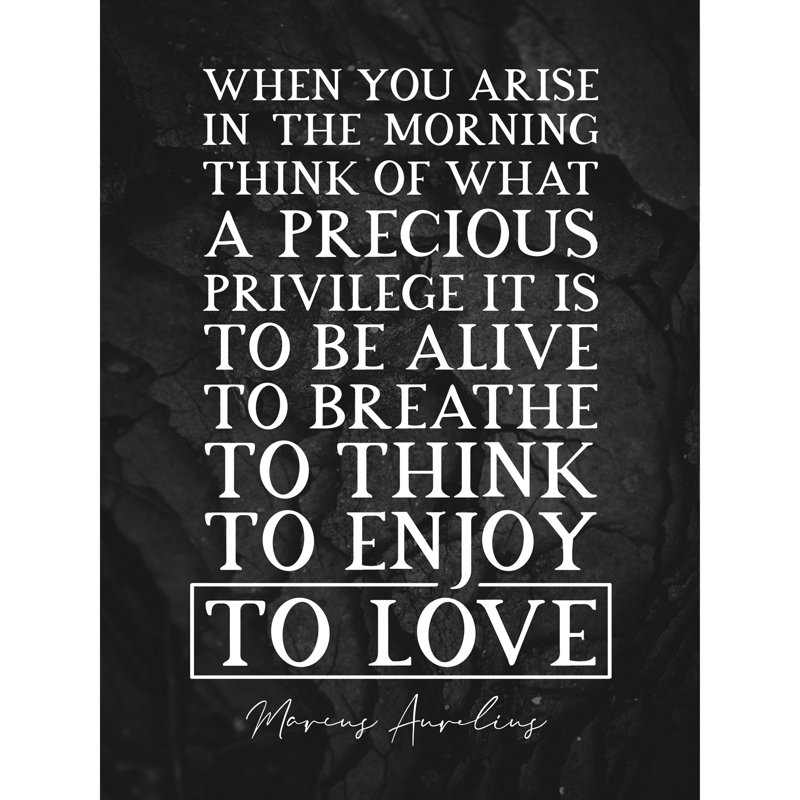 Marcus Aurelius Morning Precious Privilege Alive - No Frame Print