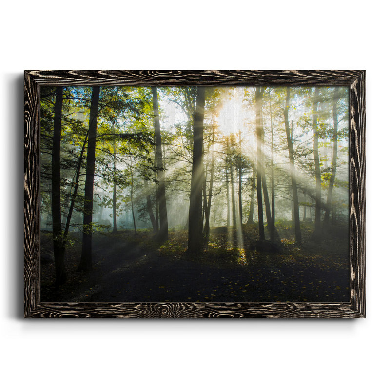 Lumière et arbres - Toile encadrée de qualité supérieure - prête à être accrochée, H 20 po x l 17 po x P 1,5 po, Noir