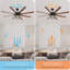 Modern 66 Inch Ceiling Fan With 6 Speed Wind 8 Blades Remote Control Reversible DC Motor With Light