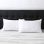 Oreiller très grand en polyester Wayfair Sleep-1390211850-1343429502