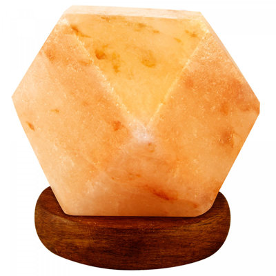 Pasternak No Subject Themed Salt Lamp