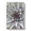 Green And Purple Succulent - Wrapped Canvas Painting-56642337