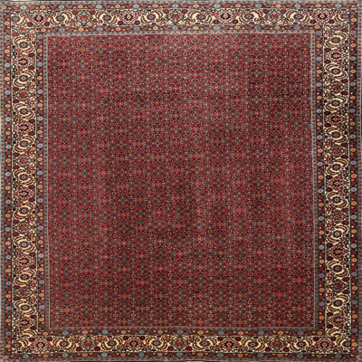 Oriental Indoor Rug