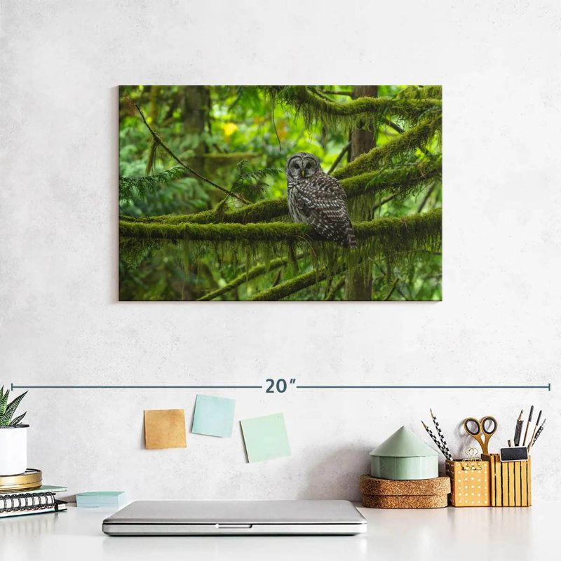 Brampt Mossy Tree Owl, 8" H x 12" W