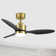 Kyptin 42" 3-blade Downrod Mount Ceiling Fan with LED Lights and Remote Control