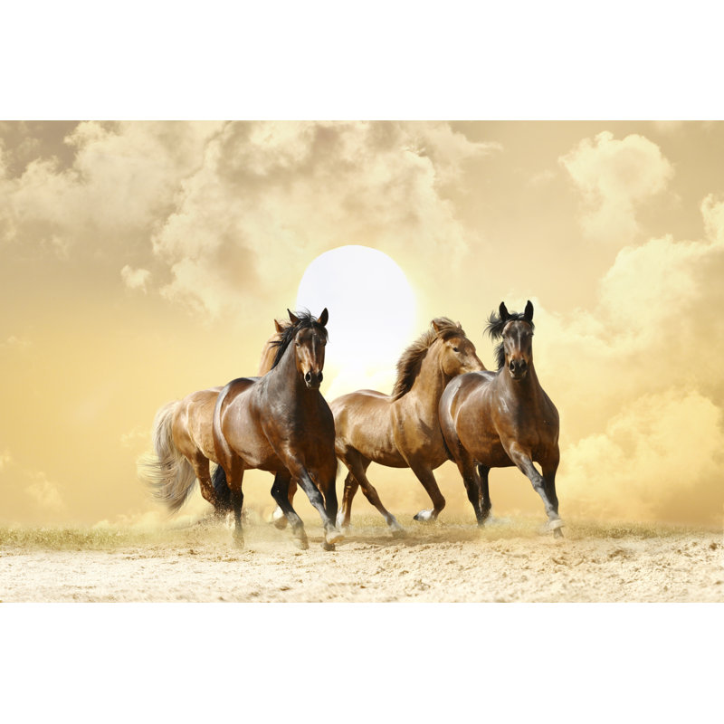 Horses Run - Wrapped Canvas Print, 61cm H x 91cm W x 3.8cm D