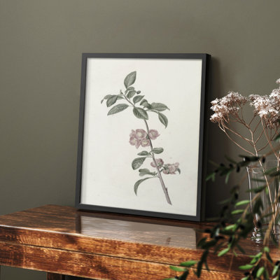 Imprimé floral rétro CLXIV - impression encadrée