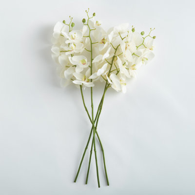 PHALAENOPSIS ORCHID STEMS 28" Set of 4