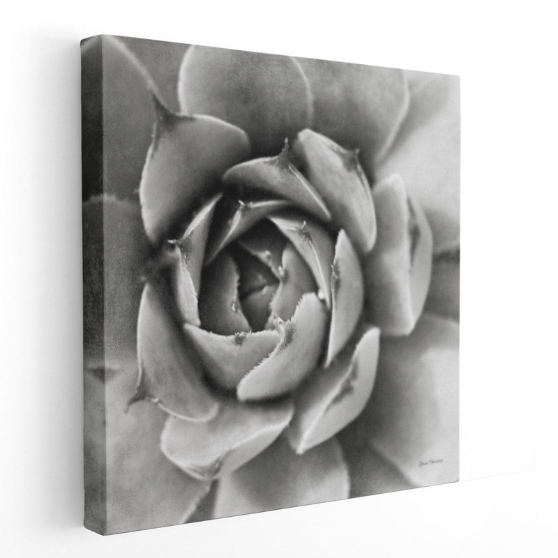 «Garden Succulent II», reproduction d'art sur toile, H 12 po x l 12 po