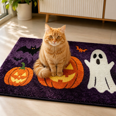 Tapis pour animal de compagnie épais en fausse laine 15,7 x 23,6 po pour les pieds sales à la porte, noir