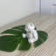 Gidney Mini Bear Ornament Statue-1399307380